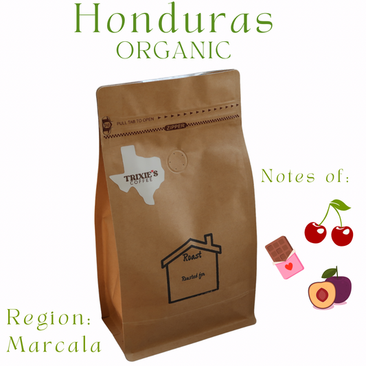 Organic Honduran | 16 oz | Ripe Plum, Bright Cherry, Milk Chocolate